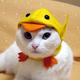 Illustration for article titled The Wonderful World of Cat Cosplay